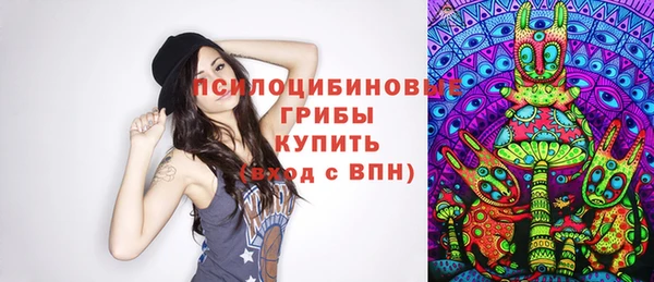 ПСИЛОЦИБИНОВЫЕ ГРИБЫ Балахна