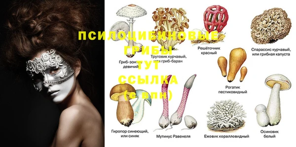 ПСИЛОЦИБИНОВЫЕ ГРИБЫ Балахна