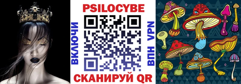 Галлюциногенные грибы Psilocybe  OMG   Верещагино 